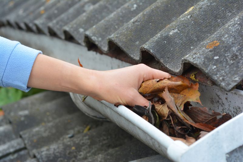 Clean Gutters